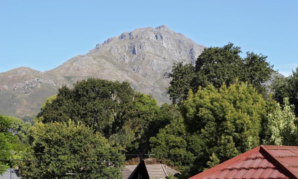 Oak Village B&B Stellenbosch Room photo